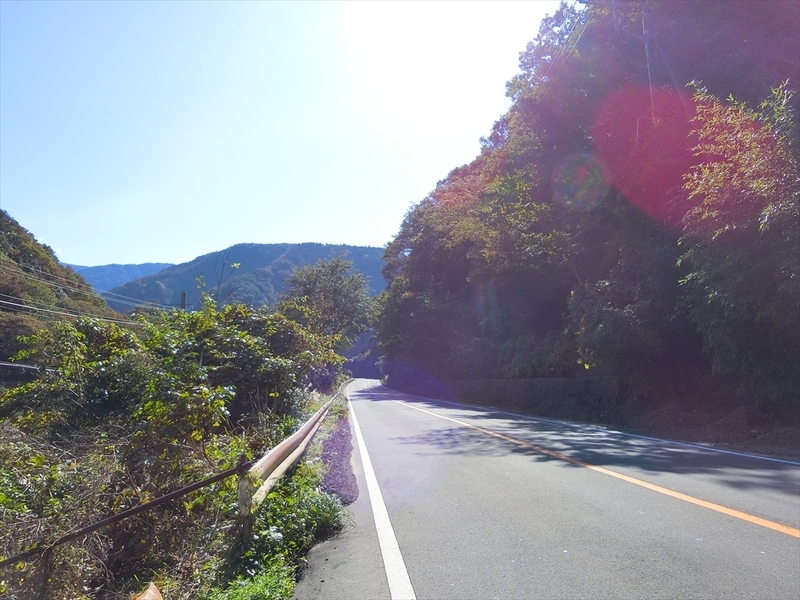 f:id:Margatroid:20191107101952j:plain