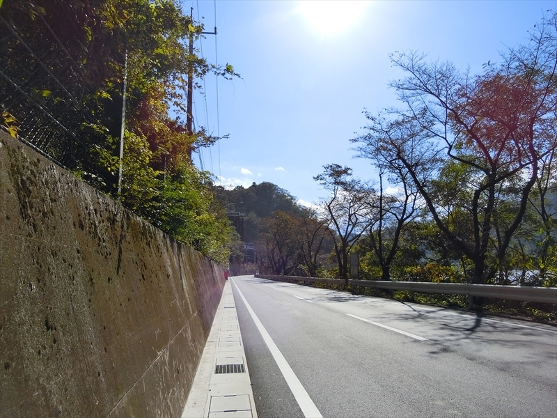 f:id:Margatroid:20191107101958j:plain