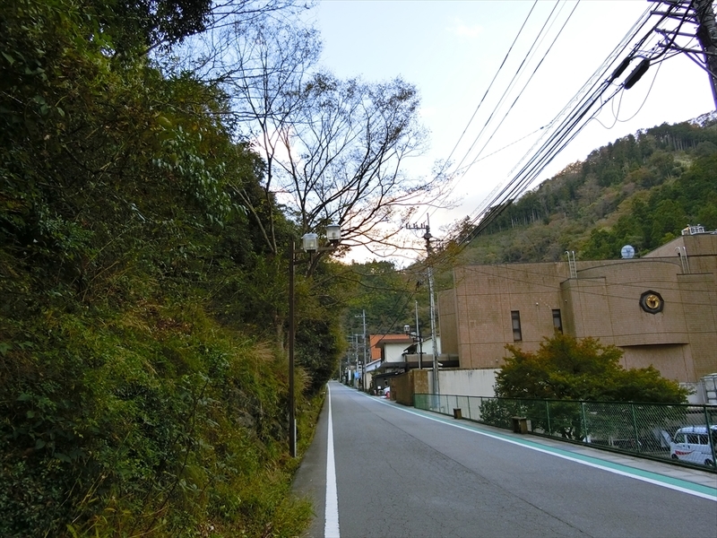 f:id:Margatroid:20191107102116j:plain
