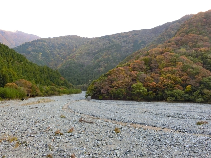 f:id:Margatroid:20191107102146j:plain