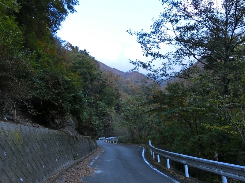 f:id:Margatroid:20191107102301j:plain