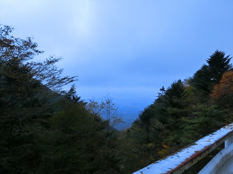 f:id:Margatroid:20191107102351j:plain
