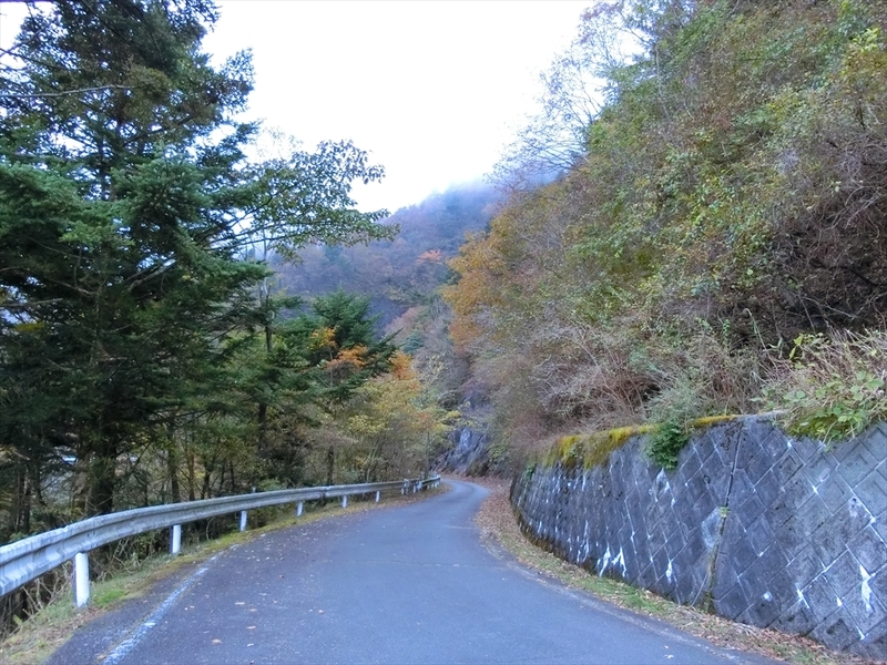 f:id:Margatroid:20191107102401j:plain