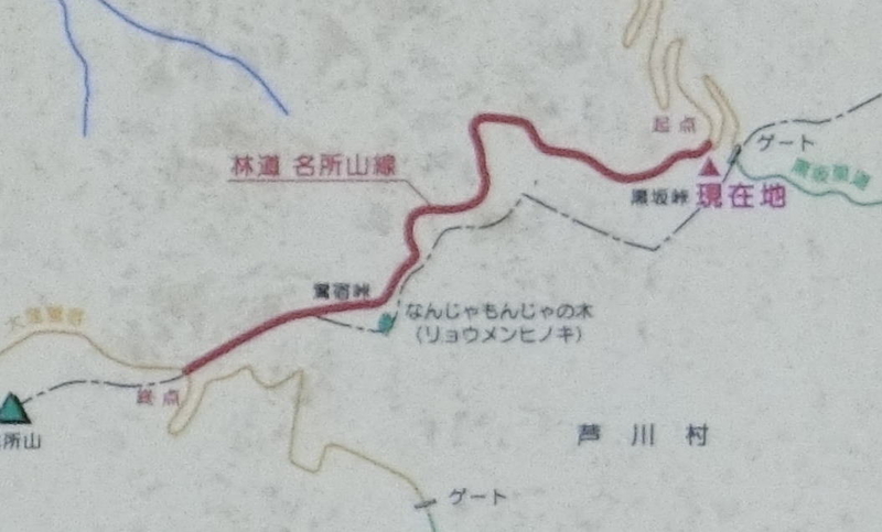 f:id:Margatroid:20191117115337j:plain