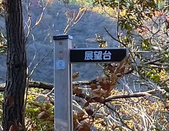 f:id:Margatroid:20191117115552j:plain