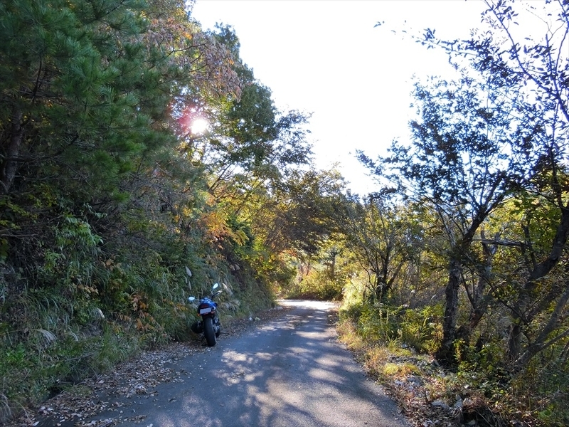 f:id:Margatroid:20191117115901j:plain
