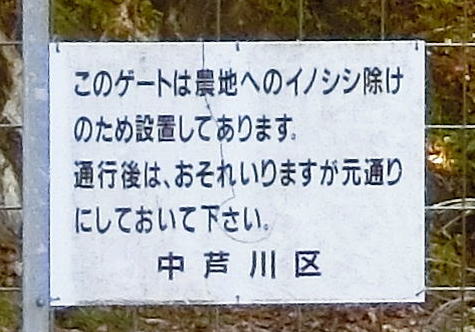 f:id:Margatroid:20191117125953j:plain