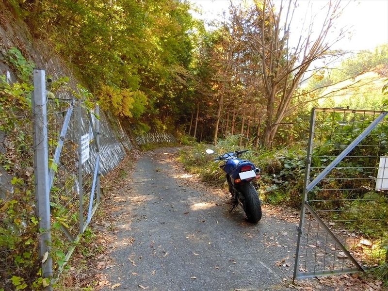 f:id:Margatroid:20191117130206j:plain