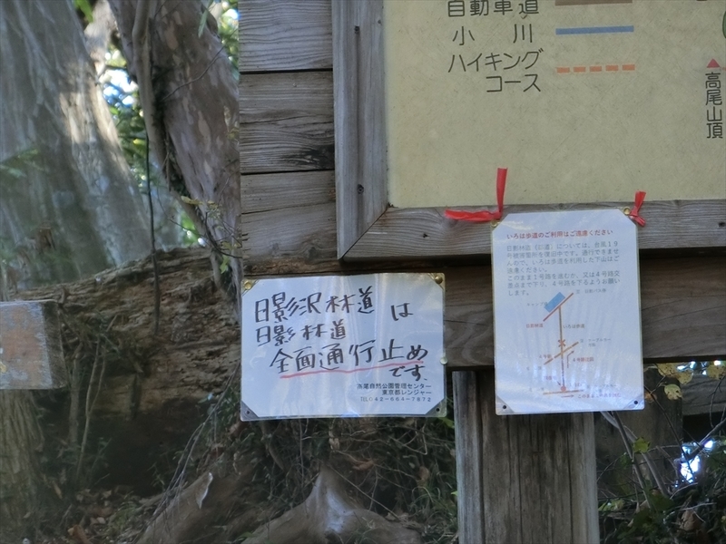 f:id:Margatroid:20191201102514j:plain