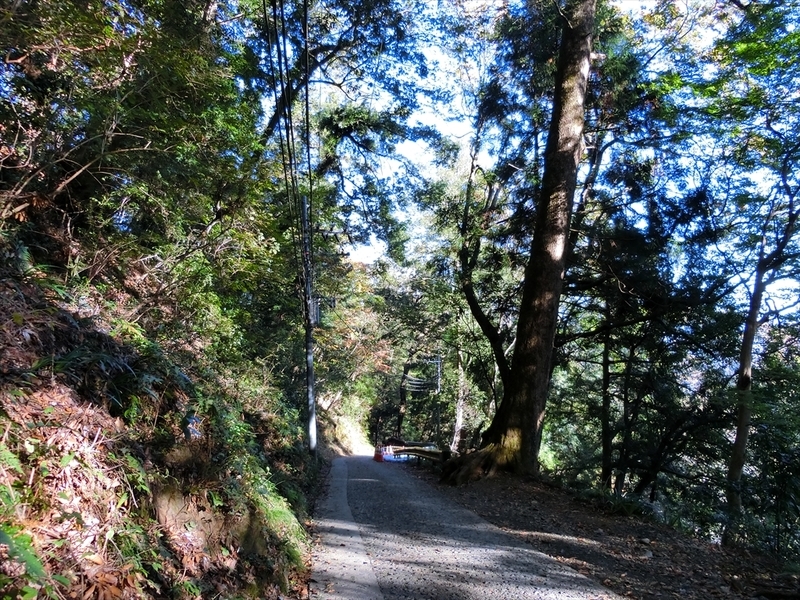 f:id:Margatroid:20191201102623j:plain