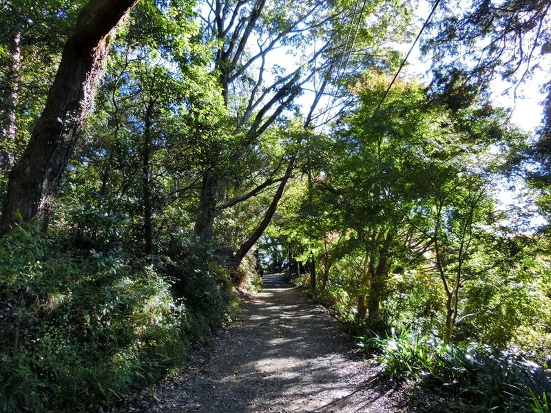 f:id:Margatroid:20191201102628j:plain