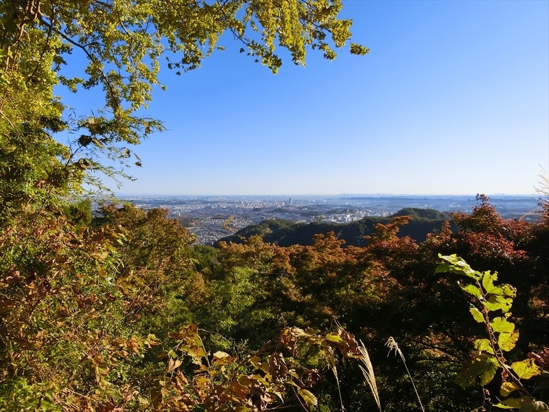 f:id:Margatroid:20191201102634j:plain