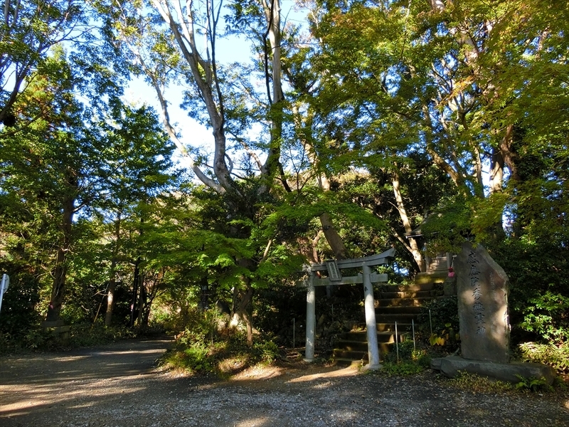 f:id:Margatroid:20191201102646j:plain