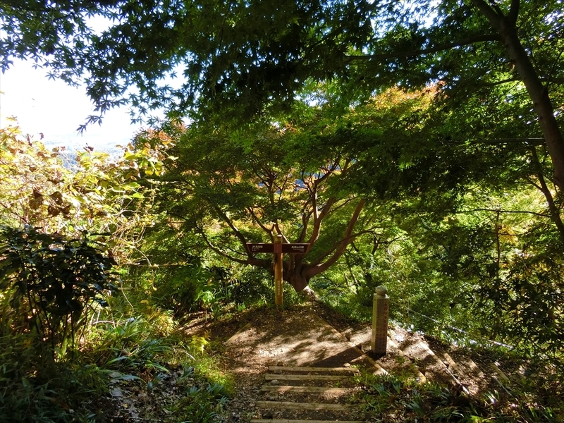 f:id:Margatroid:20191201102651j:plain