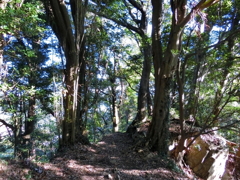 f:id:Margatroid:20191201102702j:plain