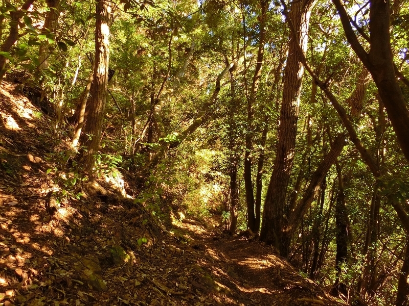 f:id:Margatroid:20191201102707j:plain