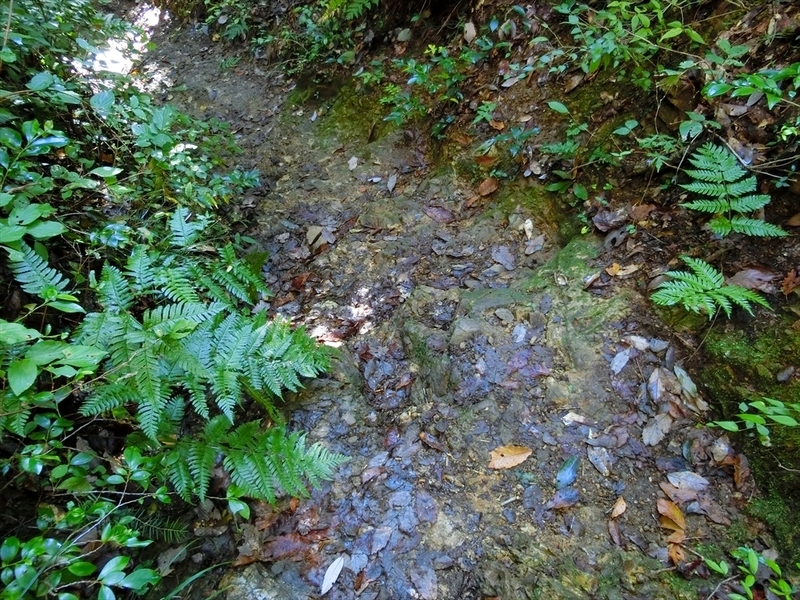 f:id:Margatroid:20191201102712j:plain