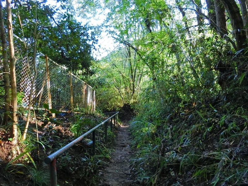 f:id:Margatroid:20191201102723j:plain