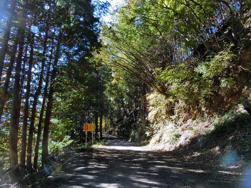 f:id:Margatroid:20191201102932j:plain