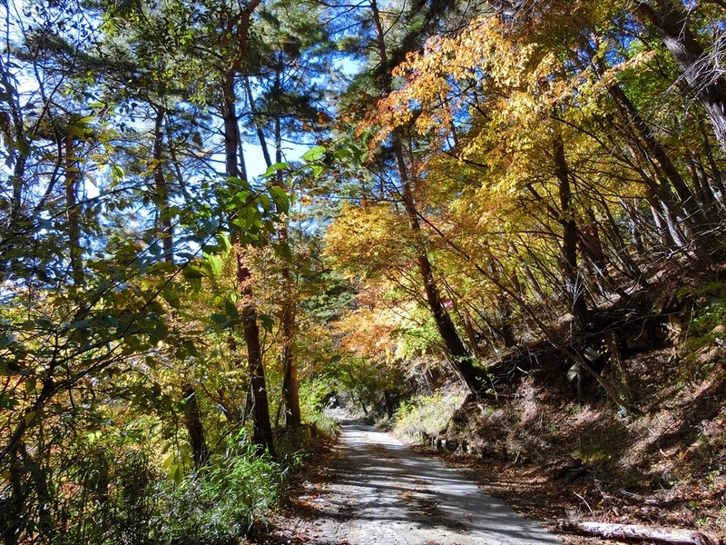 f:id:Margatroid:20191201102938j:plain