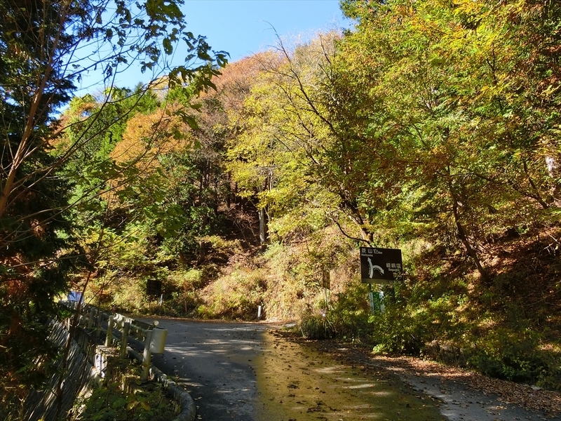 f:id:Margatroid:20191201102959j:plain