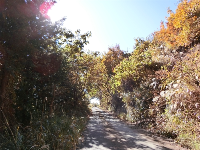 f:id:Margatroid:20191201103015j:plain