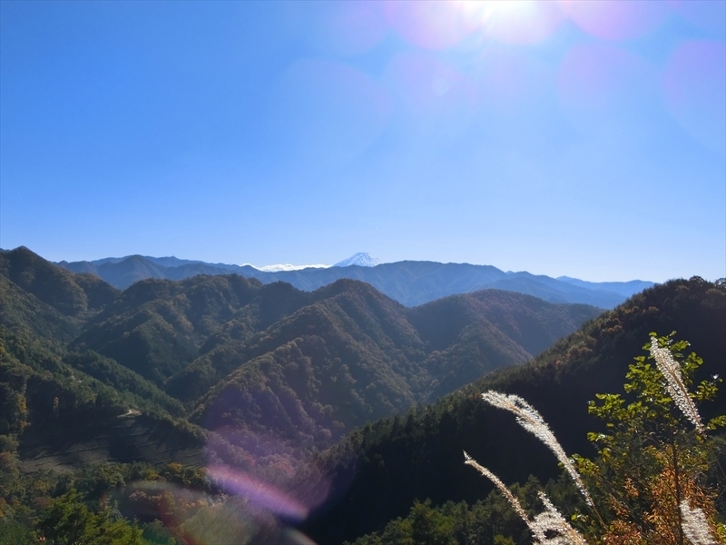 f:id:Margatroid:20191201103020j:plain