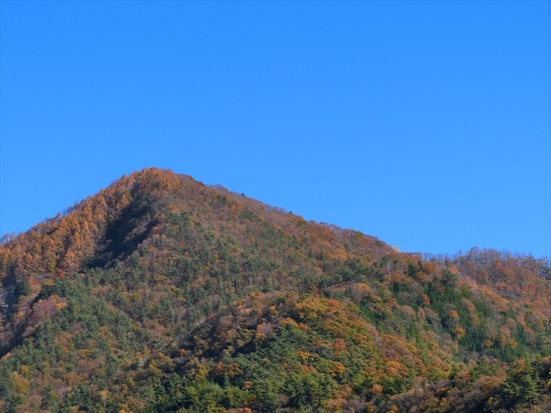 f:id:Margatroid:20191201103036j:plain