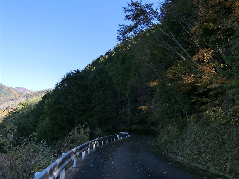 f:id:Margatroid:20191201103048j:plain