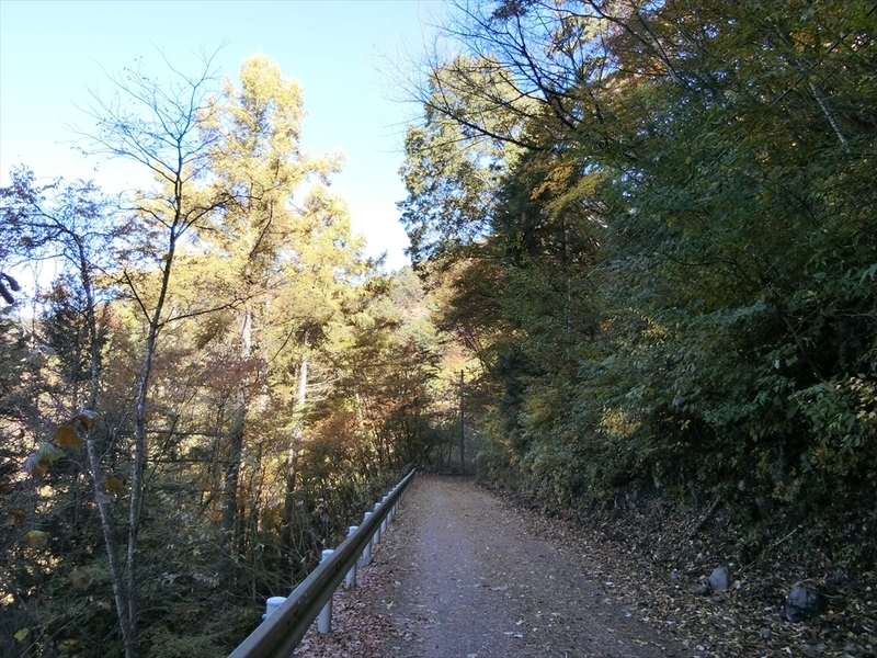 f:id:Margatroid:20191201103059j:plain