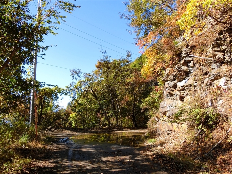 f:id:Margatroid:20191201103135j:plain