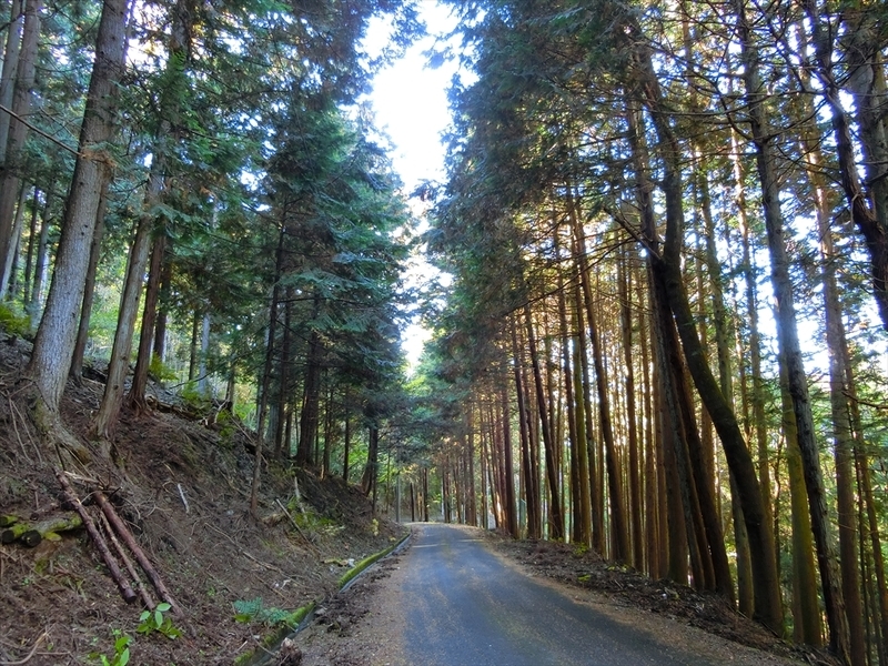 f:id:Margatroid:20191201103209j:plain