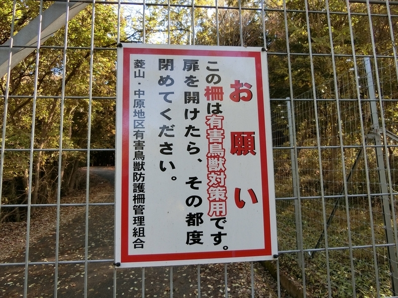 f:id:Margatroid:20191201103225j:plain