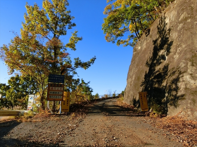 f:id:Margatroid:20191201103404j:plain