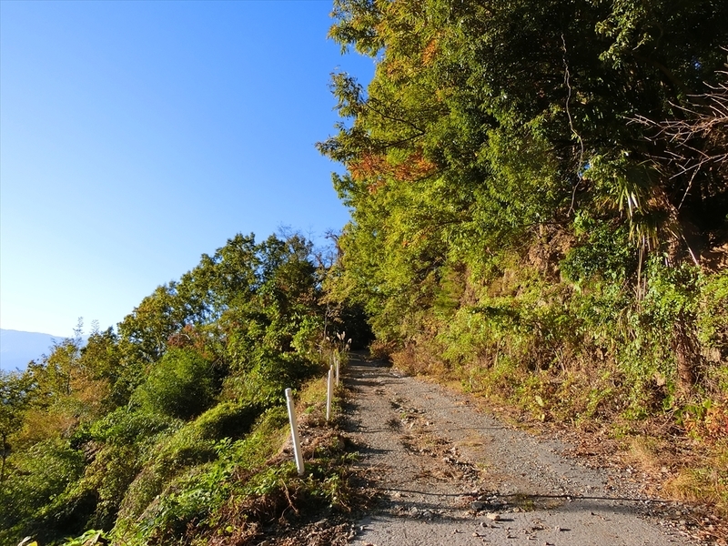 f:id:Margatroid:20191201103411j:plain