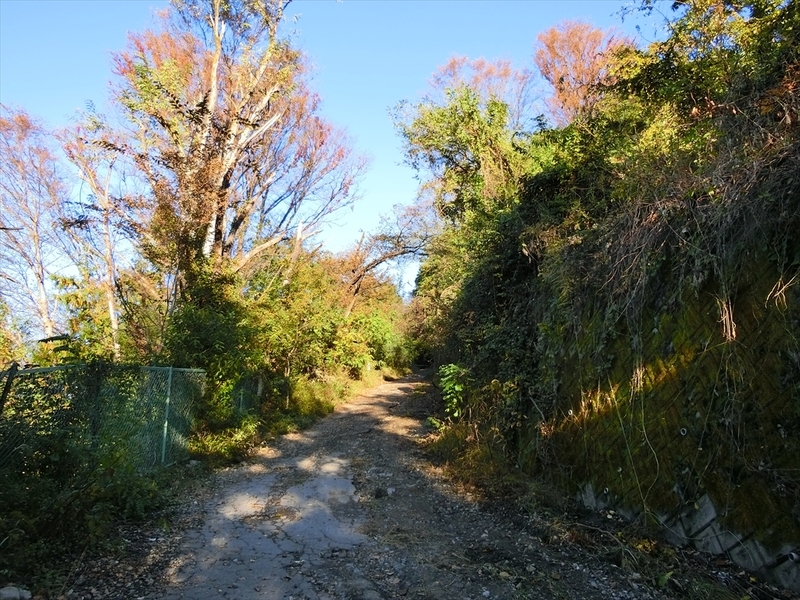 f:id:Margatroid:20191201103417j:plain