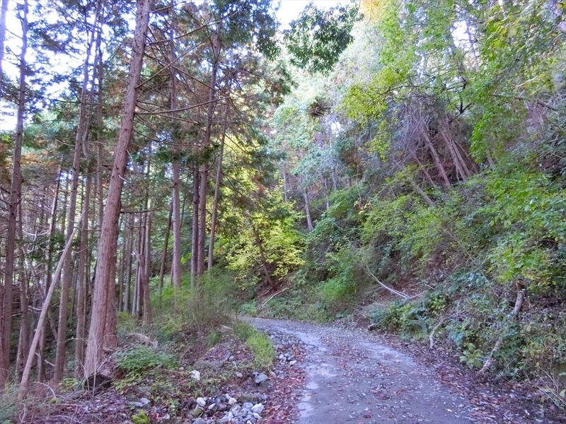 f:id:Margatroid:20191201103422j:plain