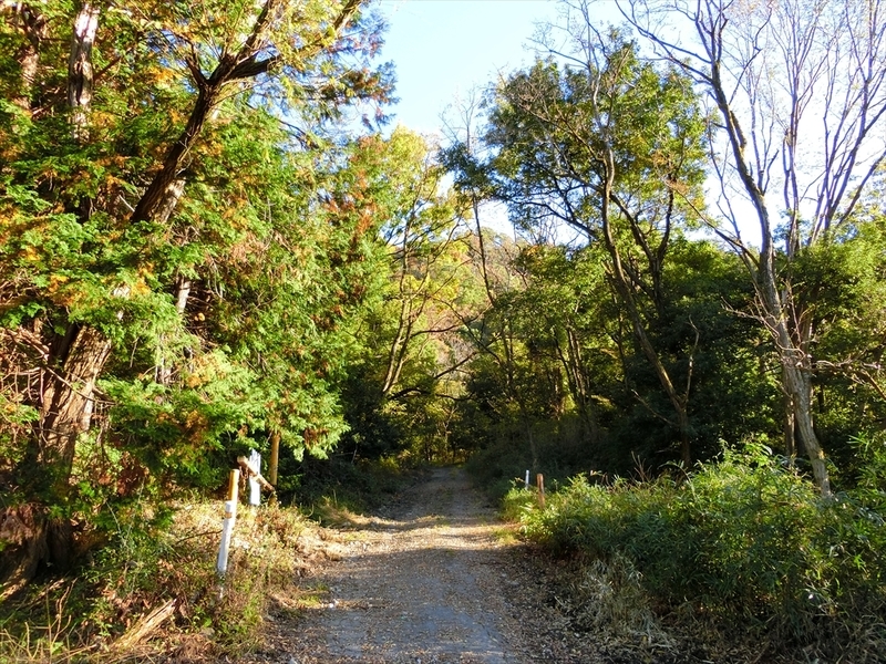 f:id:Margatroid:20191201103427j:plain