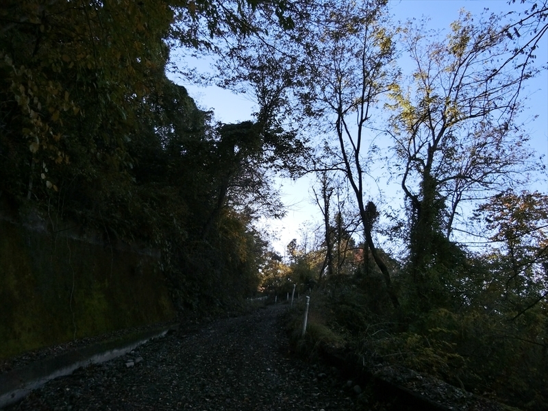 f:id:Margatroid:20191201103437j:plain