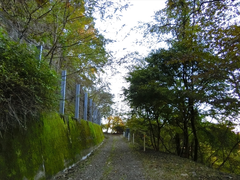 f:id:Margatroid:20191201103600j:plain