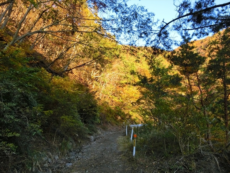 f:id:Margatroid:20191201103624j:plain