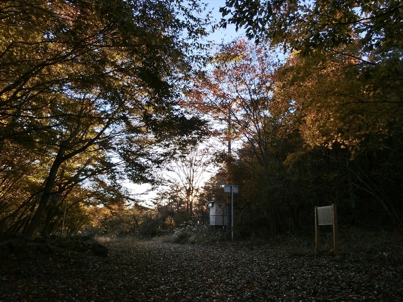 f:id:Margatroid:20191201103629j:plain