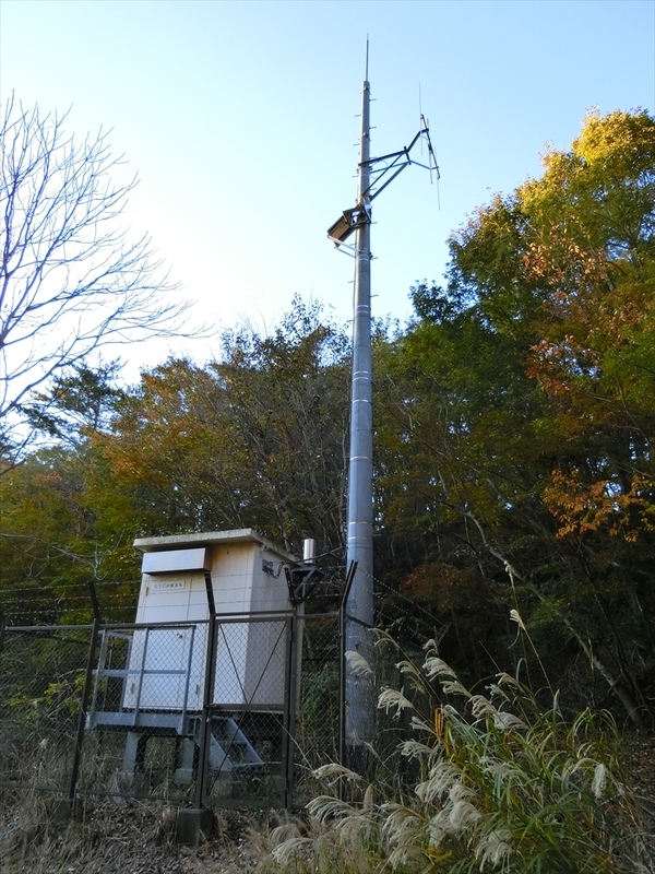 f:id:Margatroid:20191201103700j:plain