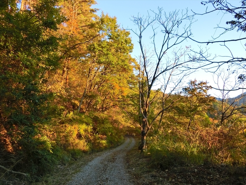 f:id:Margatroid:20191201103710j:plain