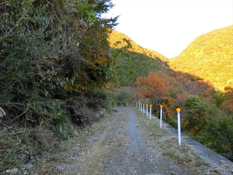 f:id:Margatroid:20191201103716j:plain