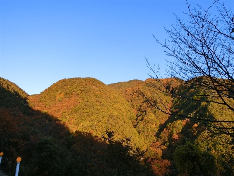 f:id:Margatroid:20191201103722j:plain