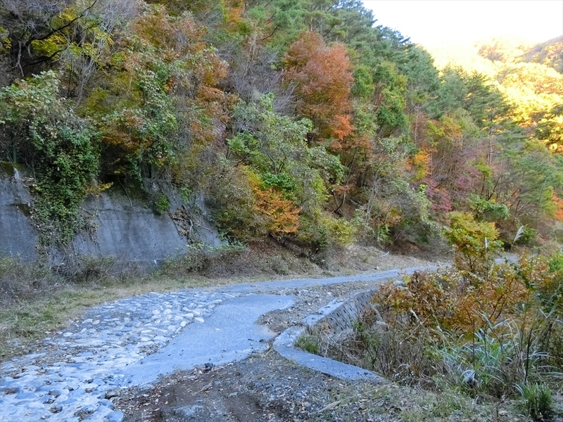 f:id:Margatroid:20191201103727j:plain