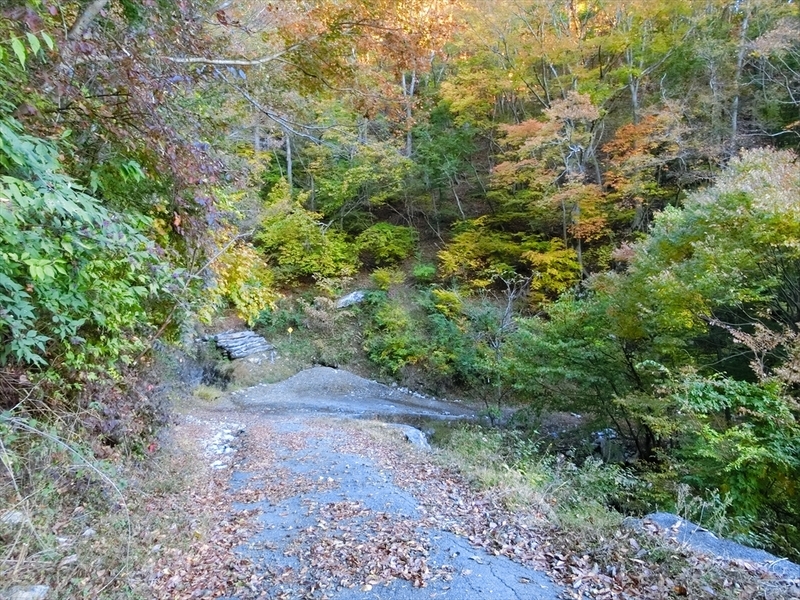 f:id:Margatroid:20191201103733j:plain