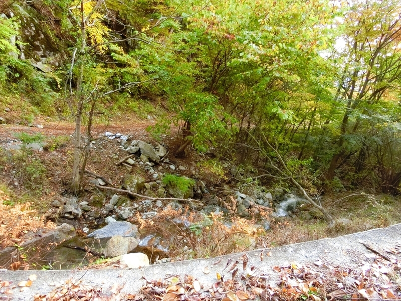 f:id:Margatroid:20191201103742j:plain