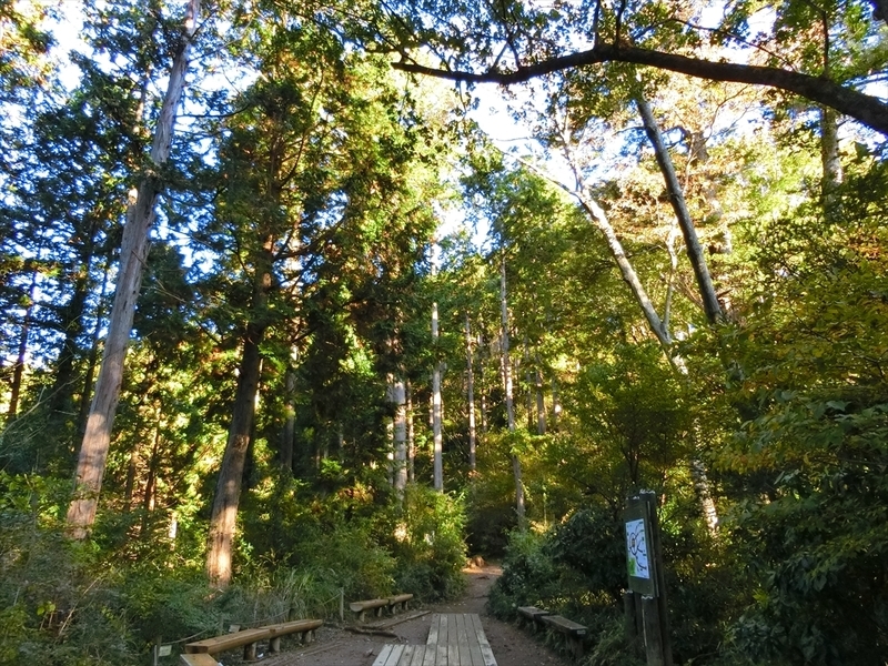 f:id:Margatroid:20191201103905j:plain